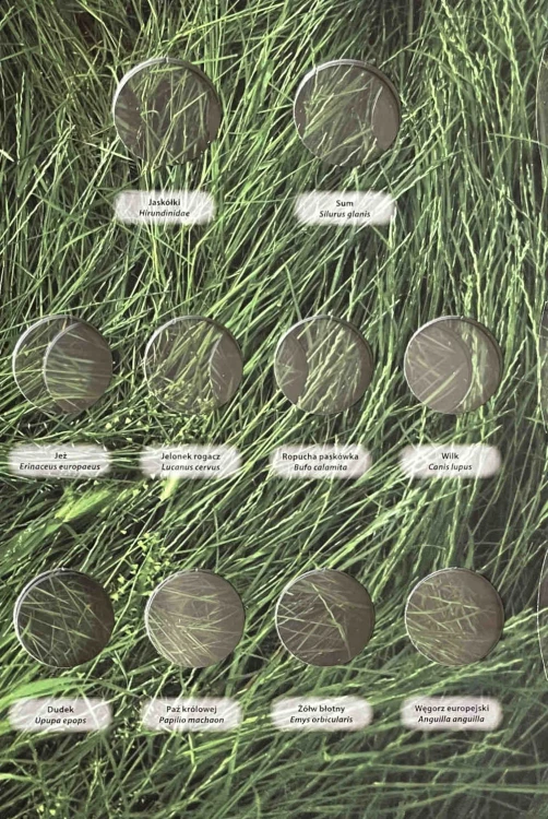 Album na monety 2 zł "Zwierzęta Świata" Strona 1