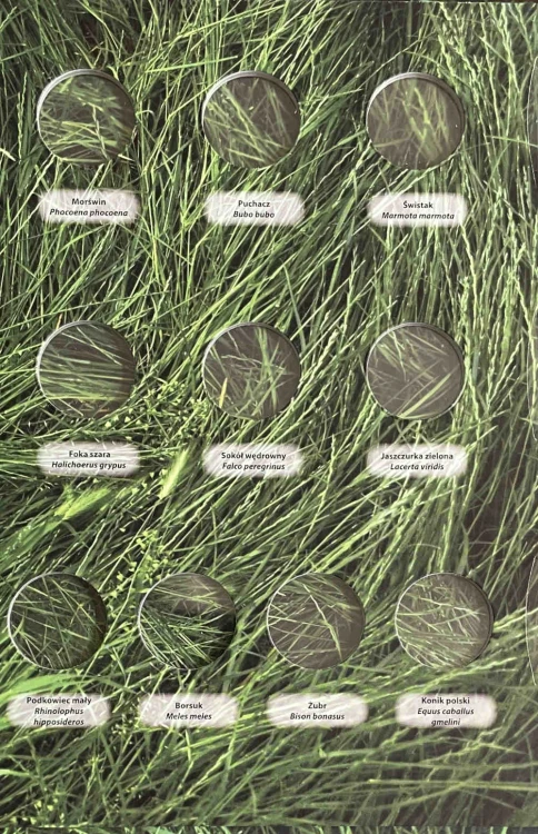 Album na monety 2 zł "Zwierzęta Świata" Strona 2