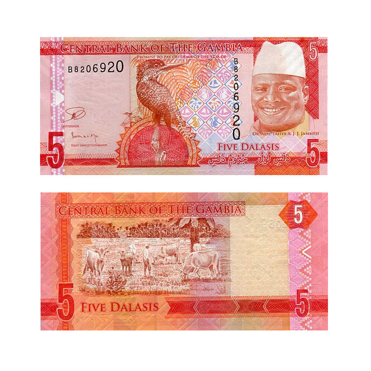 Banknot Gambia 5 Dalasis 2015 r. UNC