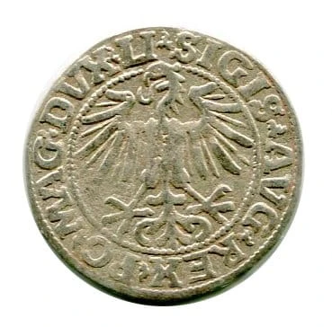 Półgrosz Litewski 1549 r. Zygmunt II August