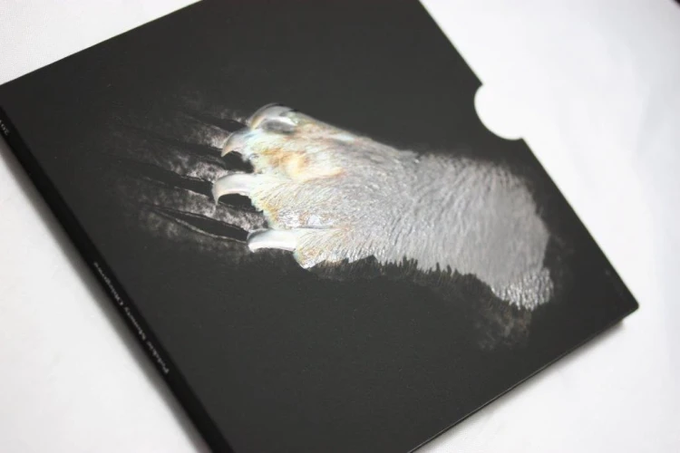 Menniczy zestaw monet obiegowych w etui 2015 r.