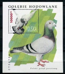 Znaczki 1994 r. Gołąbie hodowlane